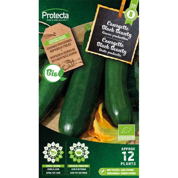 Image de Graines courgette black beauty fr-bio-15