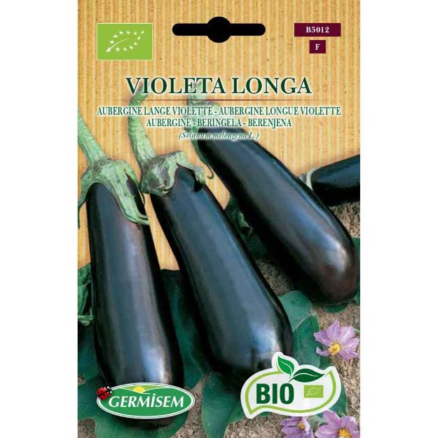 Image de Graines bio d' aubergine longue violette