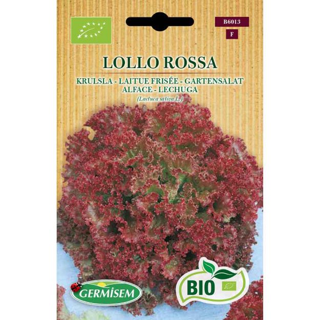 Image de Graines bio de laitue frisée lollo rossa