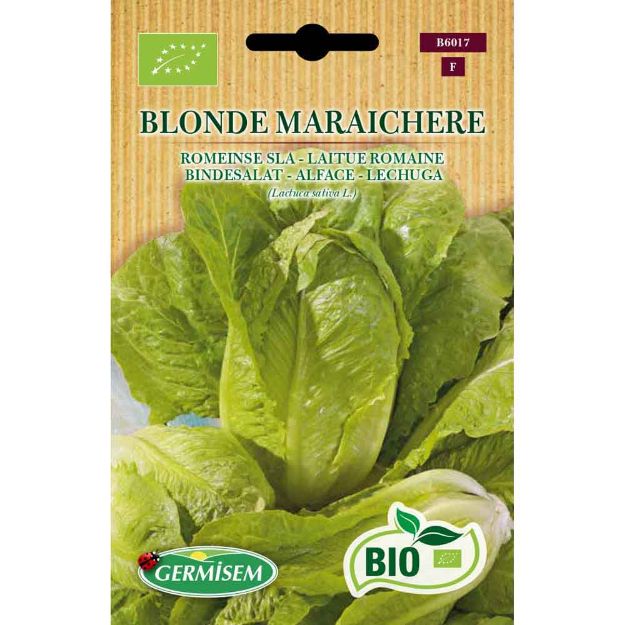 Image de Graines bio de laitue romaine blonde maraîchère