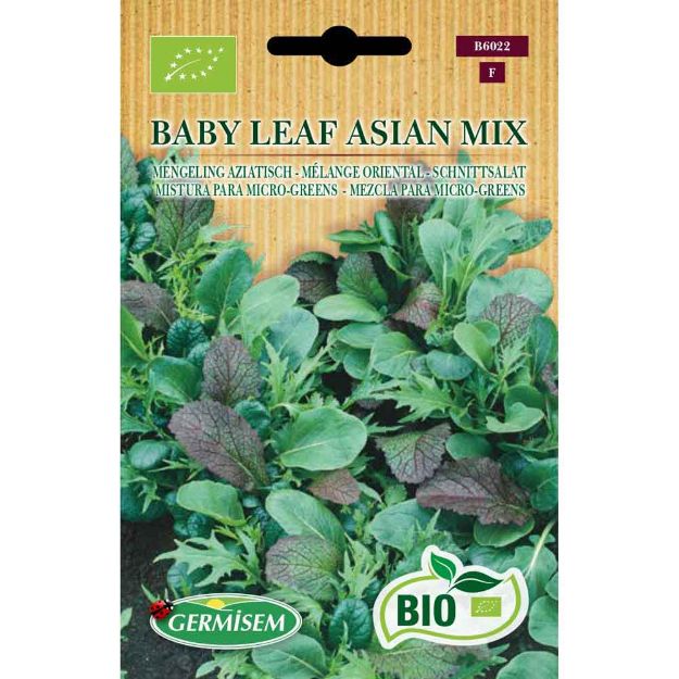 Image de Graines bio de mélange baby leaf oriental