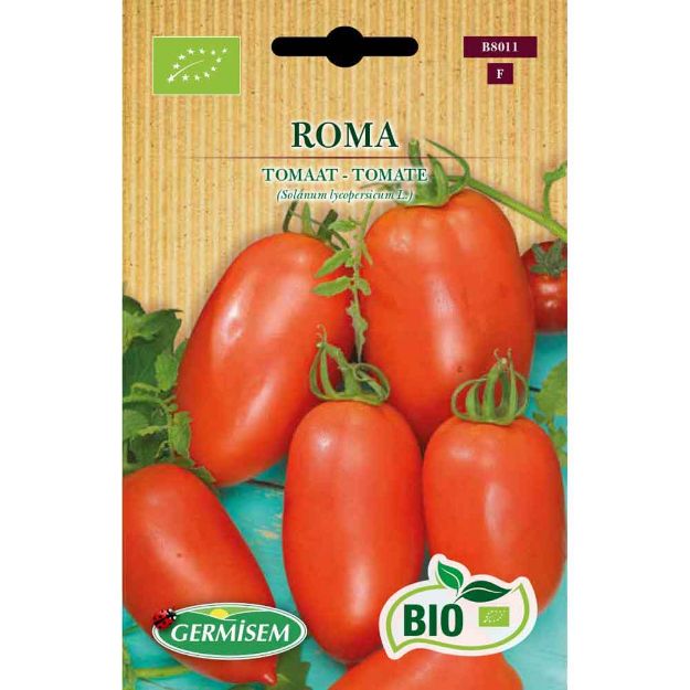 Image de Graines bio de tomate roma