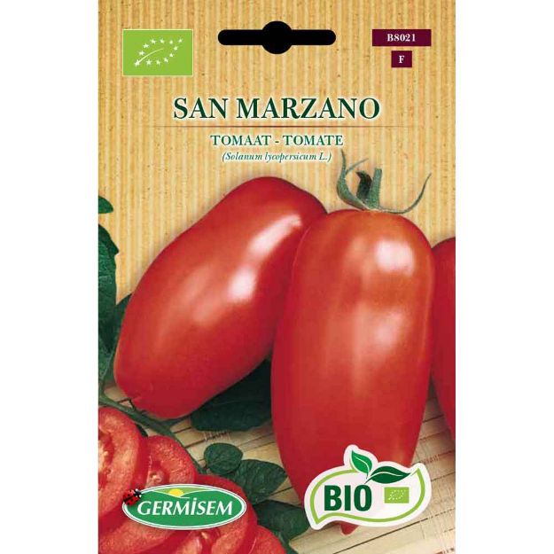 Image de Graines bio de tomate san marzano