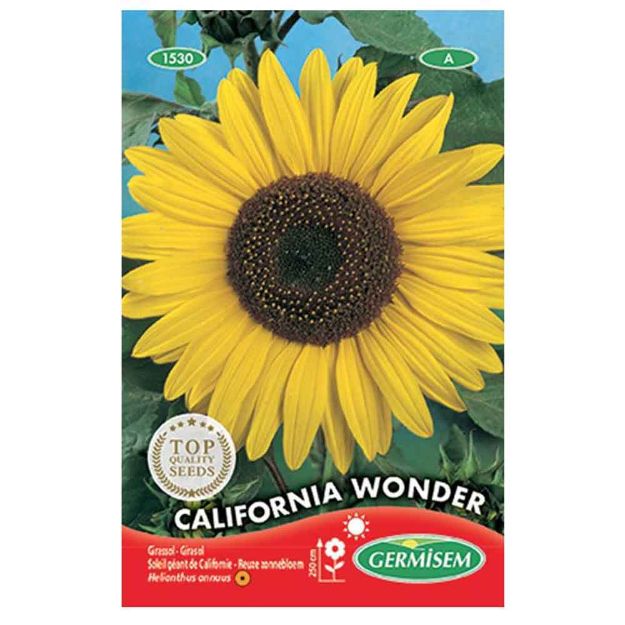 Image de Graines d'helianthus (soleil) géant de californie