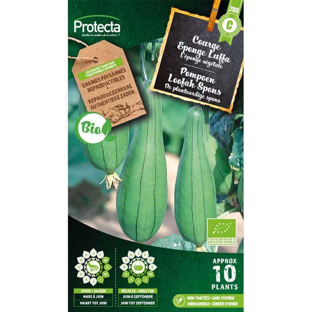 Image de Graines courge eponge luffa fr-bio-15