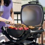 Image de Barbecue Q 1400 - WEBER®