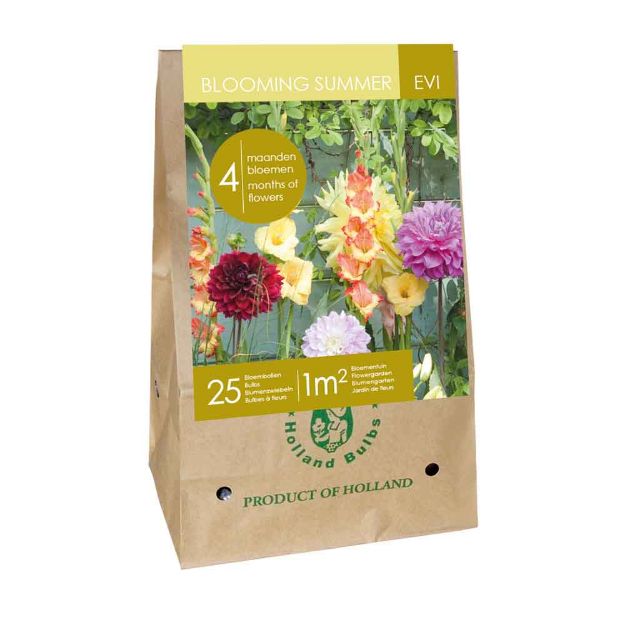 Image de 1 sac de bulbes de fleurs blooming summer - evi