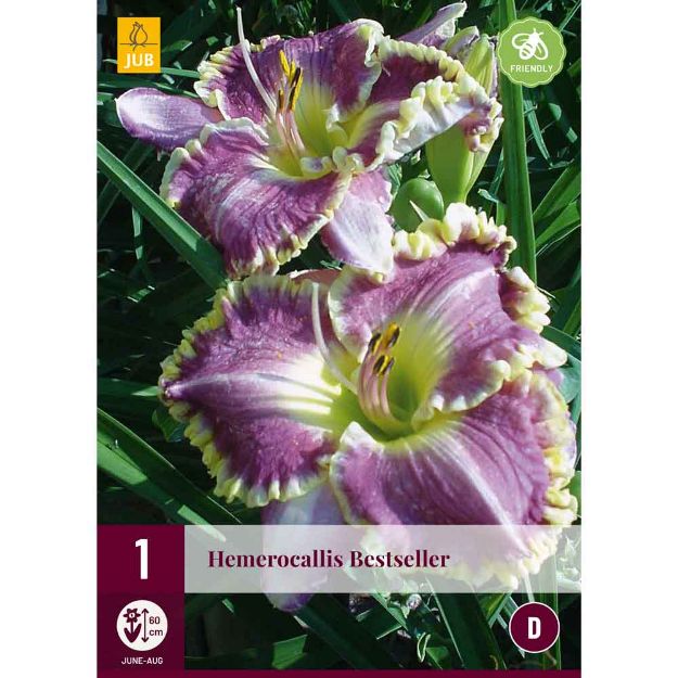 Image de 1 bulbe de fleur hemerocallis bestseller