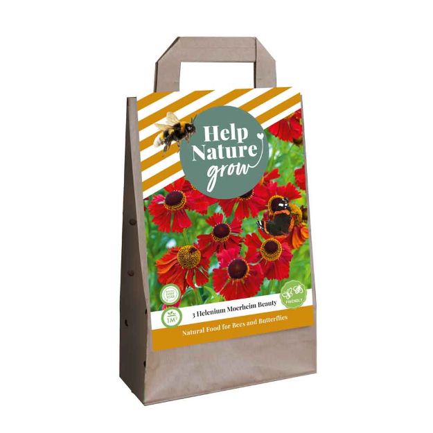 Image de 1 sac 3 helenium moerheim beauty - help nature grow i