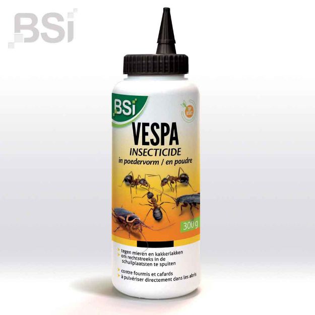 Image de Vespa Insecticide | 300 G [BE/LUX]