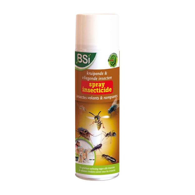 Image de SPRAY INSECTES VOLANTS RAMPANTS 500 ML