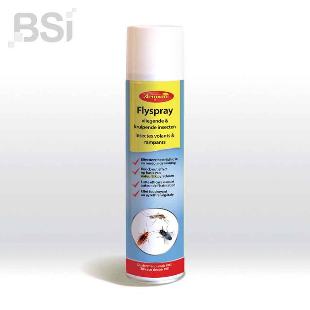 Image de AER FLYSPRAY  400 ML