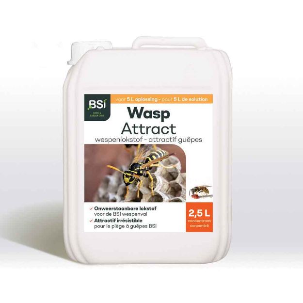 Image de Wasp Attract | 2,5 L NEW