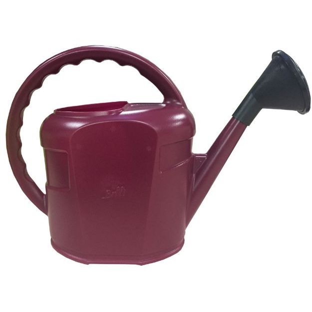 Image de Arrosoir ovale 6 litres + pomme prune