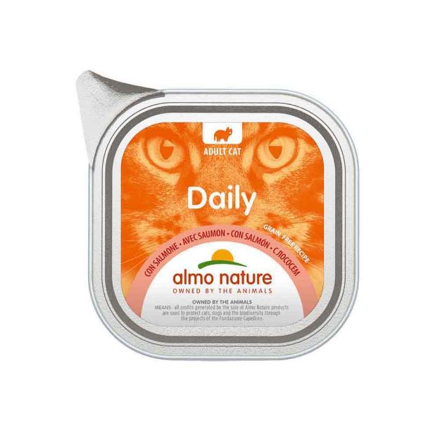 Image de Daily Cats 100g avec Saumon