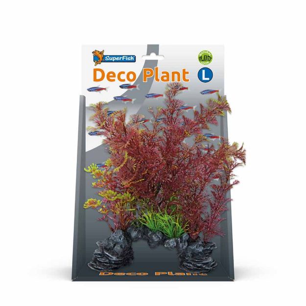 Image de SUPERFISH DECO PLANT L CABOMBA ROUGE