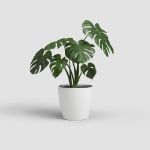Image de POT SAN REMO MATE 14CM BLANC