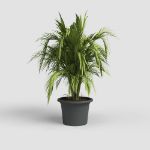 Image de POT VENEZIA CILINDRO 30CM ANTHRACITE