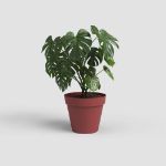 Image de POT CAPRI 50CM ROUGE FONCÉ