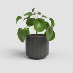 Image de CACHE-POT LUNA 7CM ANTHRACITE
