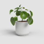 Image de CACHE-POT LUNA 25CM BLANC
