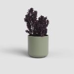 Image de CACHE-POT JUNO 12CM VERT
