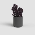 Image de CACHE-POT JUNO 19CM ANTHRACITE